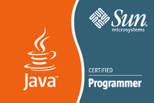 Sun Certified Java Programmer