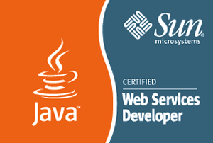 Sun Certified Developer for Java Web Services